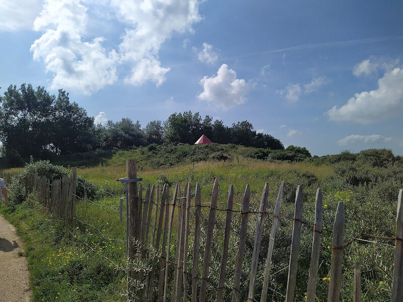 Foto van De Warandeduinen