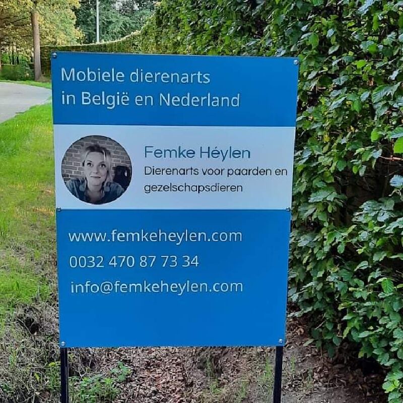 Foto van Dierenarts Femke Héylen