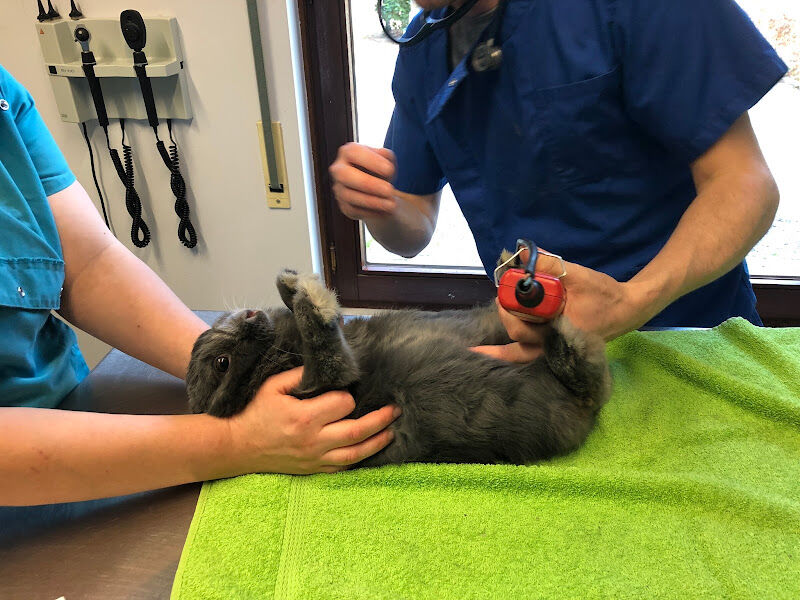 Foto van MC Dierenartsen