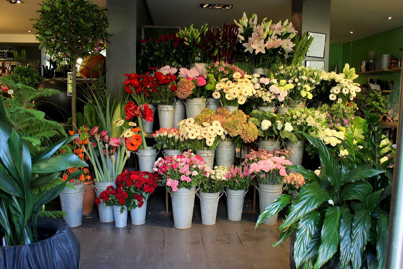 Foto van l'Olivier Fleurs Plantes et Déco