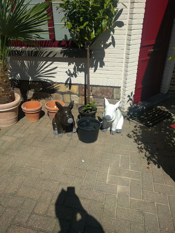 Foto van Bloemen Demaret By Sven