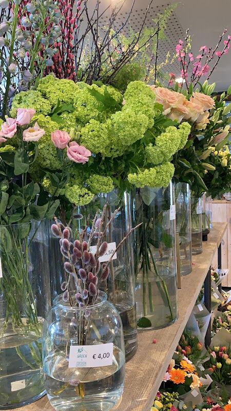 Foto van Groen & Cocoon