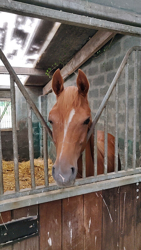 Foto van Rector / Hubert