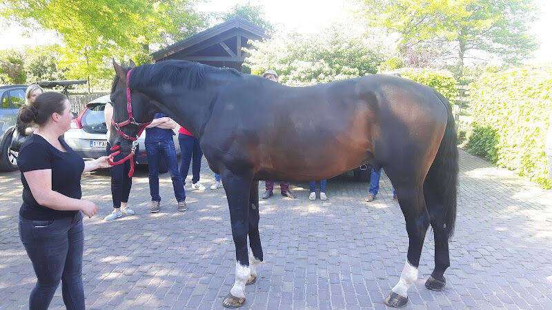 Foto van Philippaerts We Live Horses bv