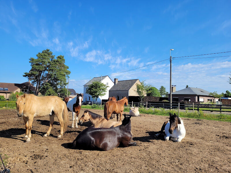 Foto van Equité