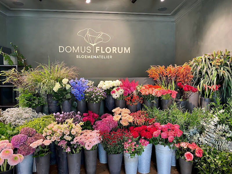 Foto van DOMUS FLORUM