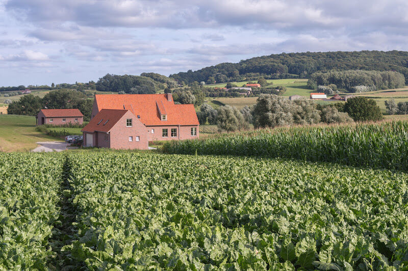 Foto van B&B De Zavelaar
