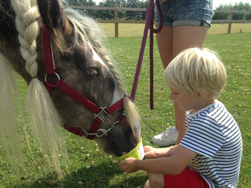 Foto van Buiten Gewoon Buiten