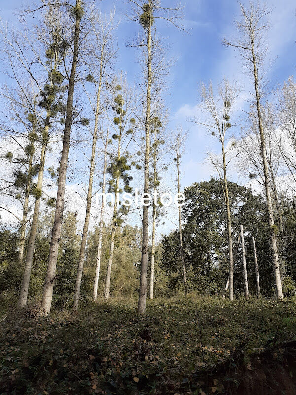 Foto van Griet Vermeiren | In-tune| ON