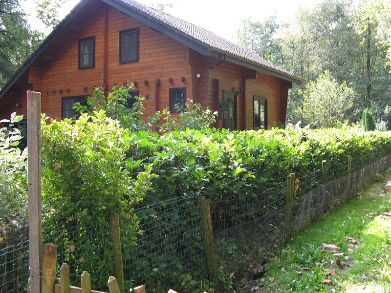 Foto van Notaris Vicky Duymelinck