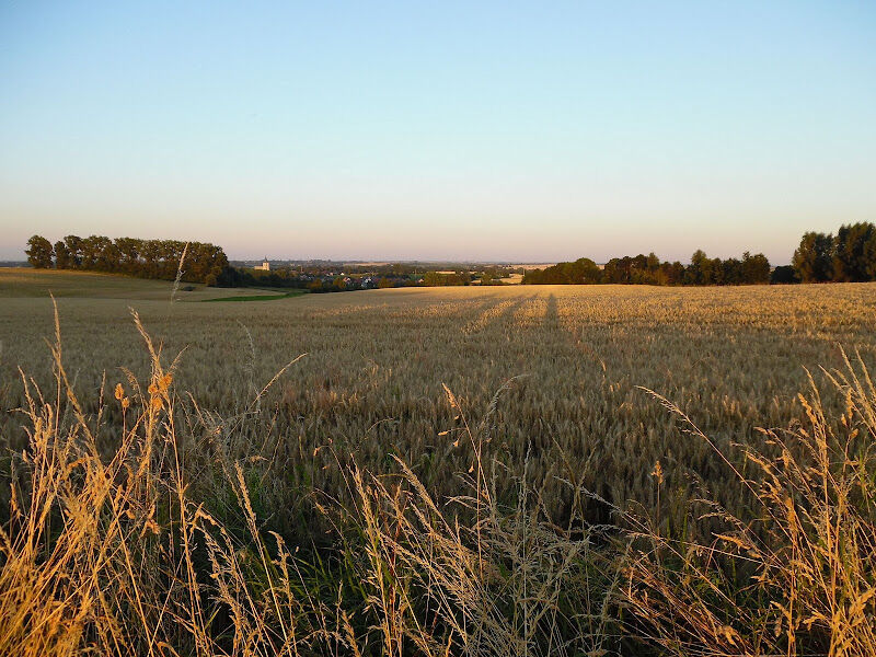 Foto van Gemeentehuis Hoegaarden