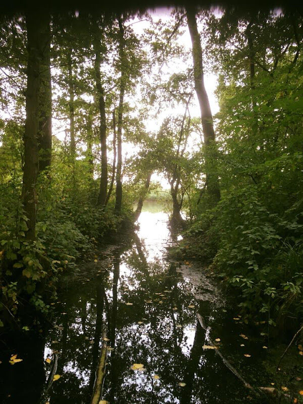Foto van Ahawa - Huis voor Levensverdieping Sjamanisme en Druïdisme