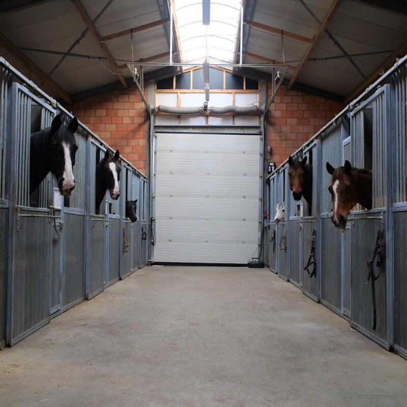 Foto van Hannekensnest VZW