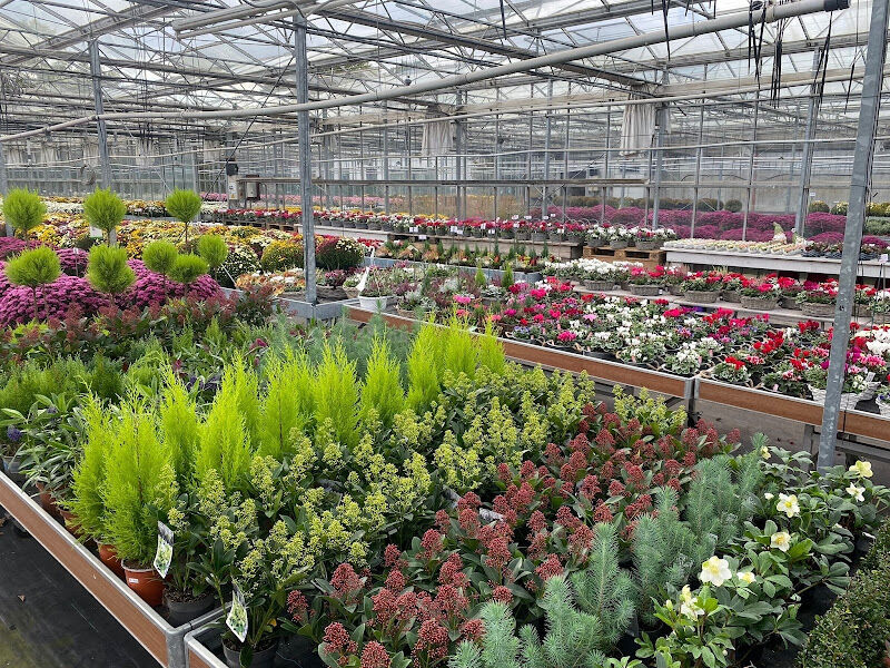 Foto van Bloemen- en plantenkwekerij Sint-Jansberg
