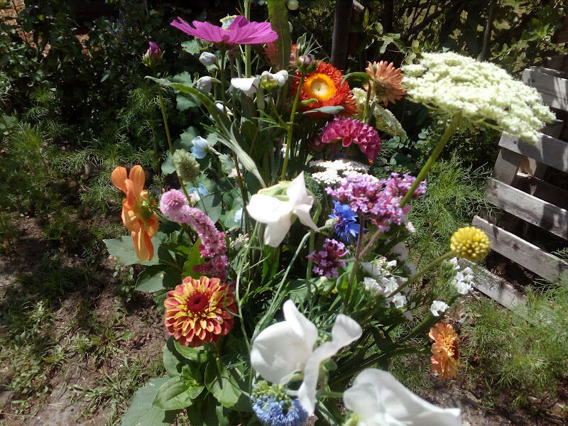 Foto van Bloem Pluk Tuin Floralieke tvv lokale goede doelen