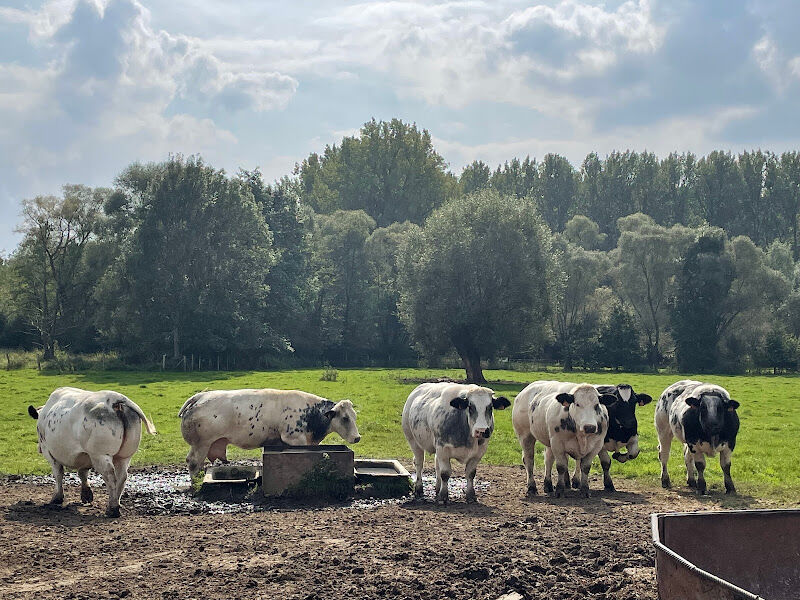 Foto van Hoeve Celongaet