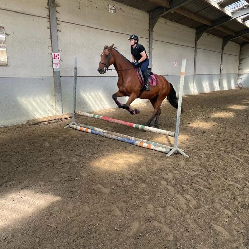 Foto van New Riding Club, Stoeterij Hof Te Bever