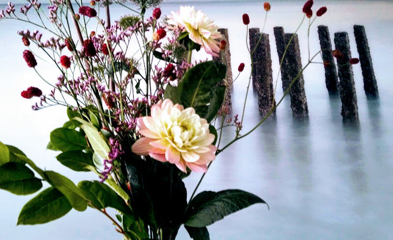 Foto van Bloemen Damman