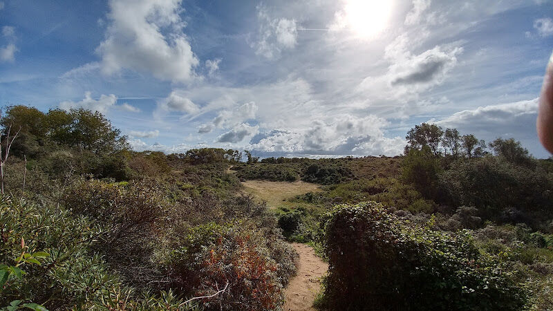 Foto van Simliduinen