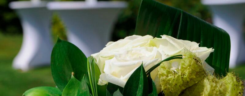 Foto van Tim Events