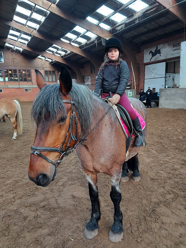 Foto van Vijverstein Manège