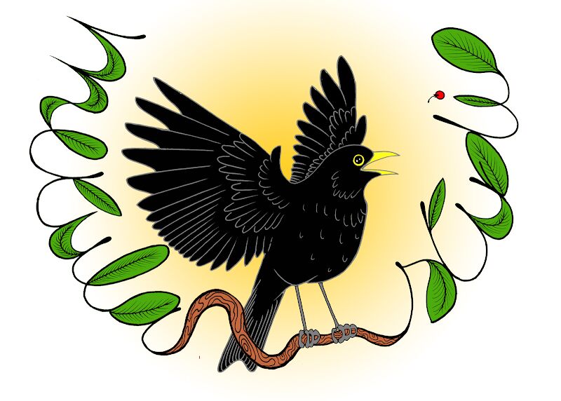 Foto van Merula Studio