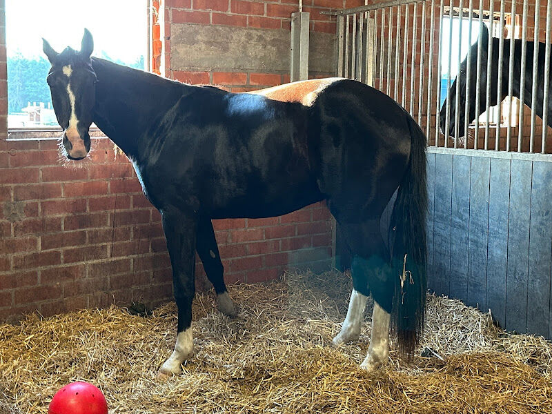 Foto van Aequilibrium