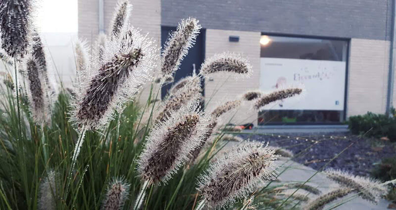 Foto van Eigenwijsje