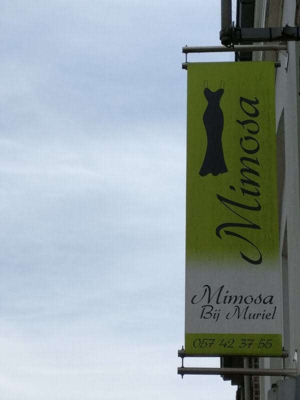 Foto van Mimosa