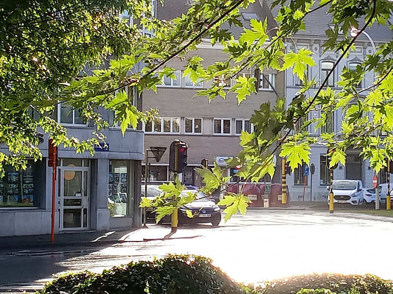 Foto van Nova Zembla