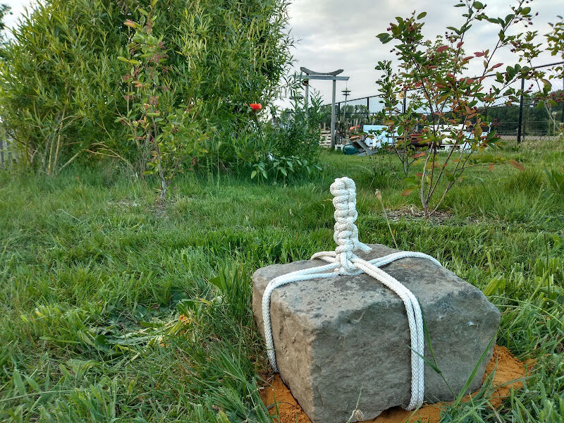 Foto van Thuisbiotoop