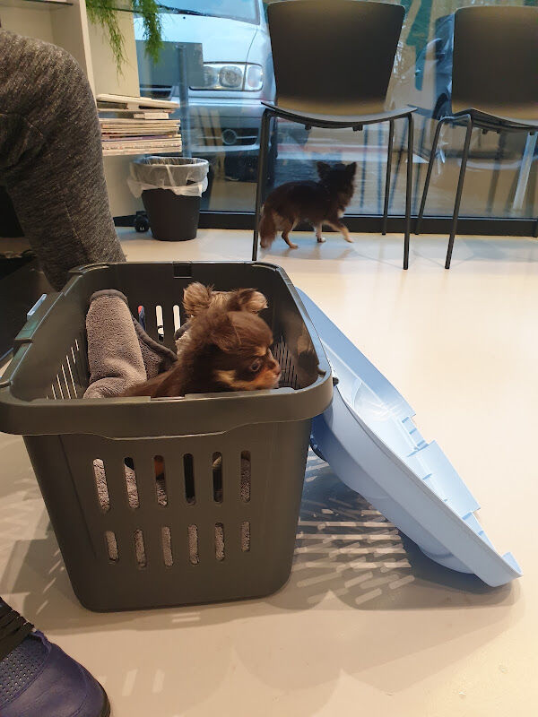 Foto van Animalis Dierenartsenpraktijk
