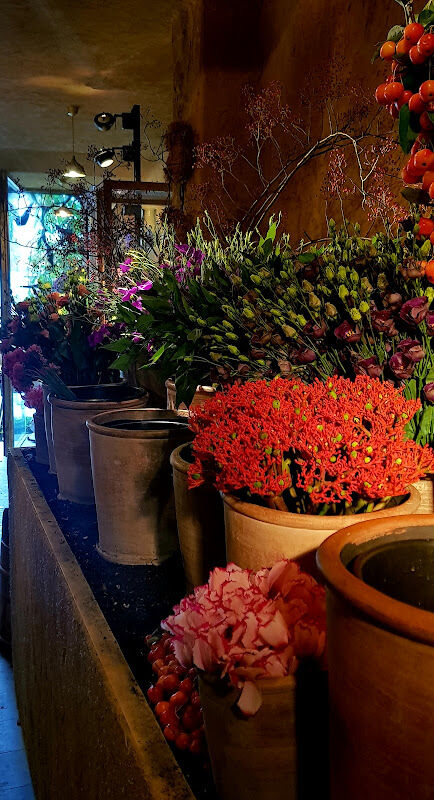 Foto van Thierry Boutemy