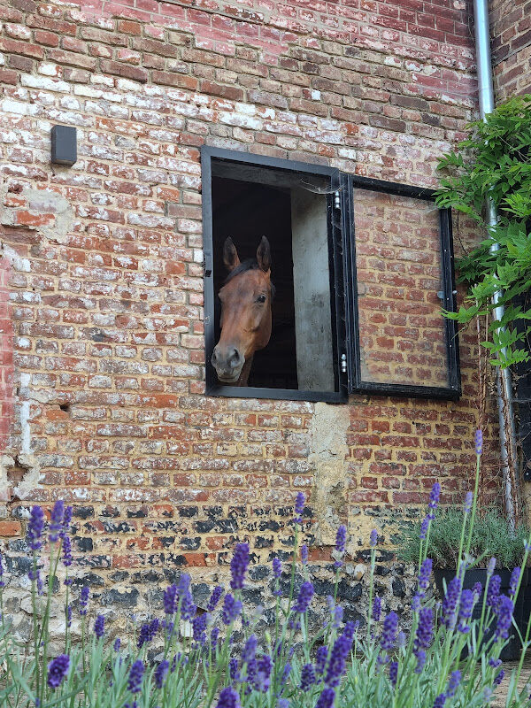 Foto van Les Ecuries - Crisnée