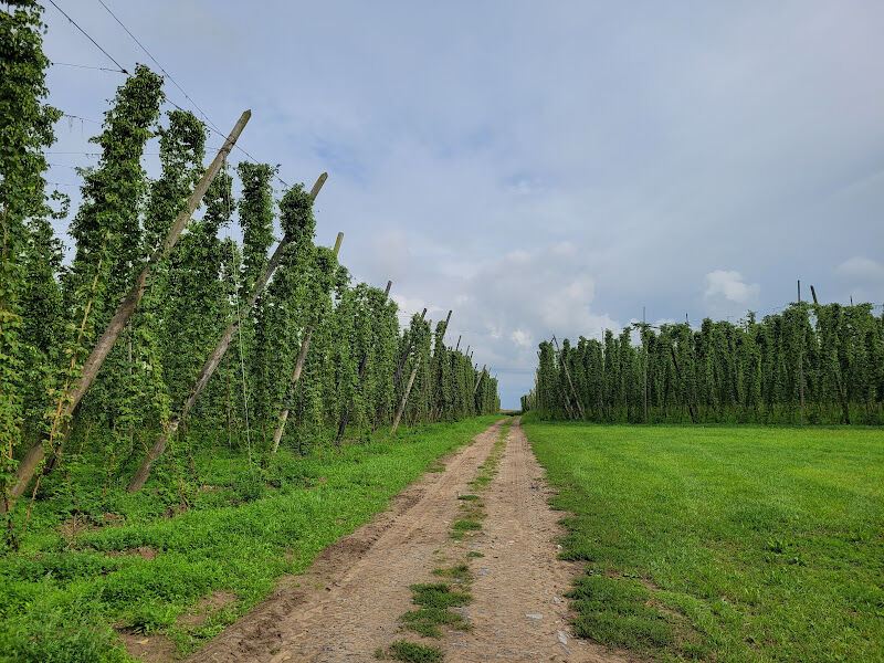 Foto van 't Hoppecruyt