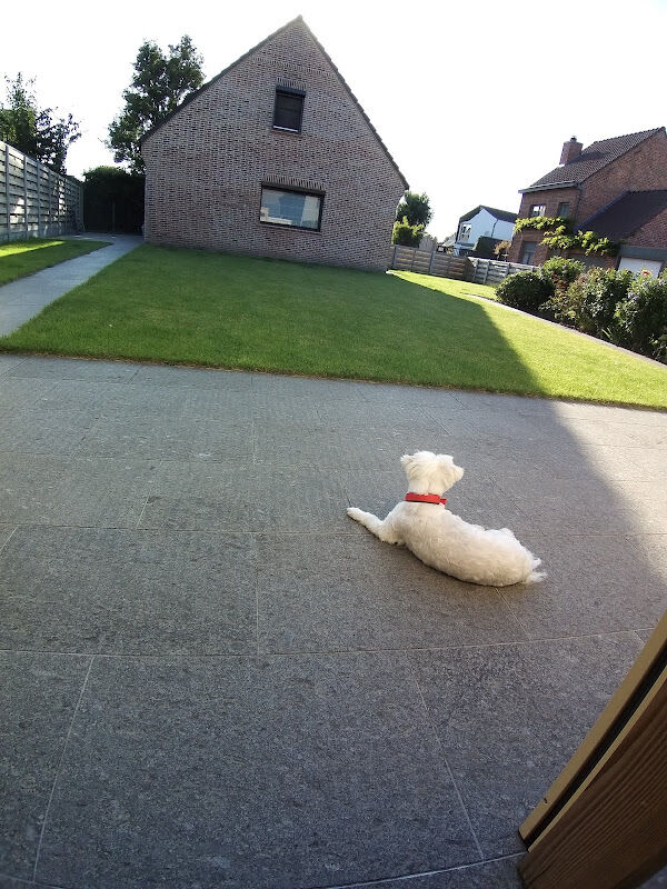 Foto van DAP De Berenakker