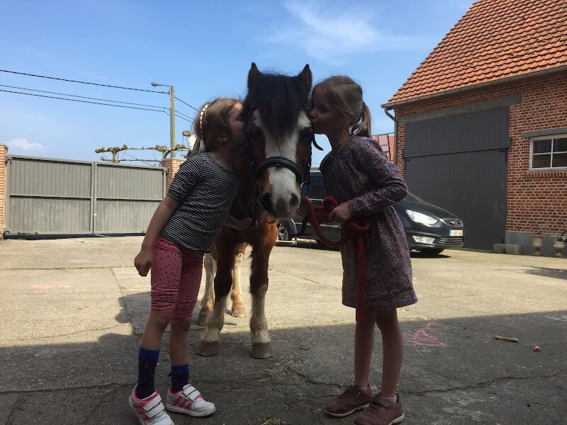 Foto van Kleine kruishoeve