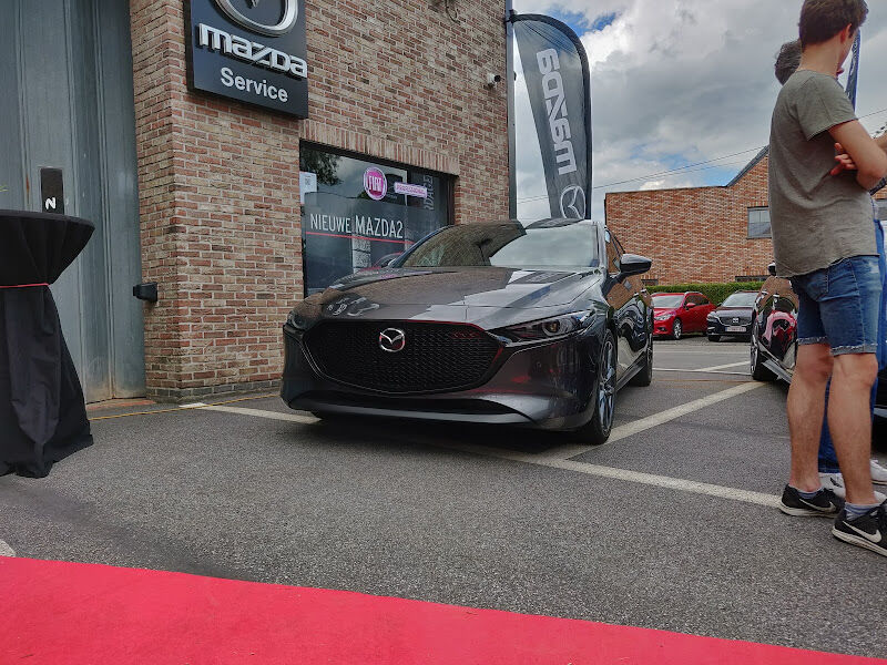 Foto van Garage Francois Dieleman