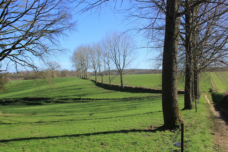 Foto van Vossekouterwandeling