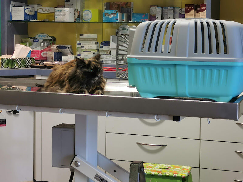 Foto van Duprez Laurence