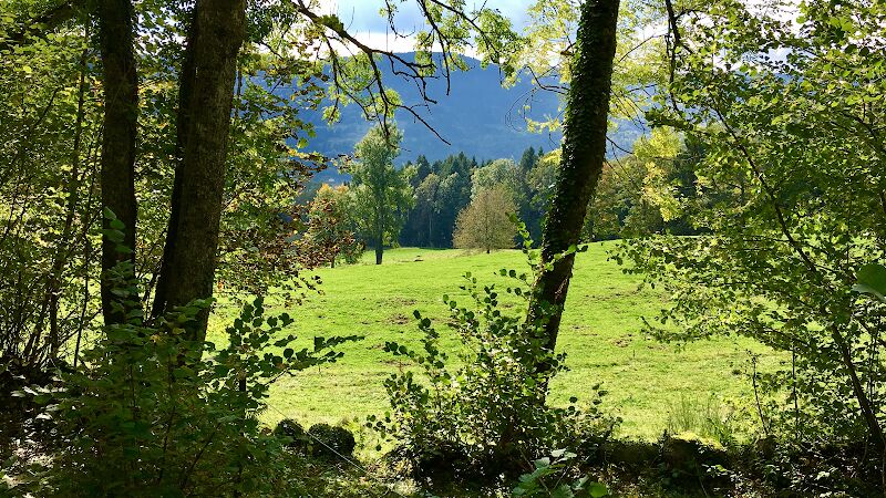 Foto van Fox Bouw en Renovatie