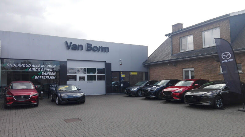 Foto van Qualitygarage - Mazda specialist Van Borm - Garage in Londerzeel