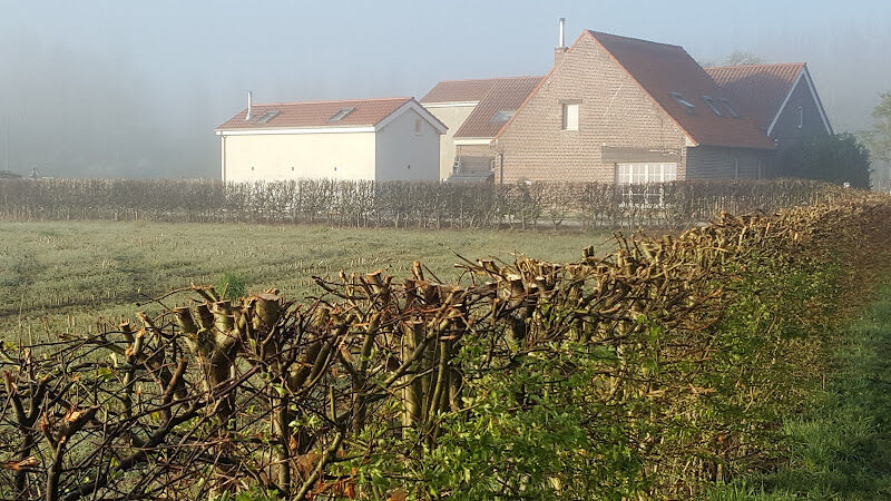 Foto van B&B Leybeeckhof