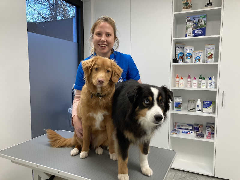 Foto van Dierenartsencentrum Debruyn-Matthys