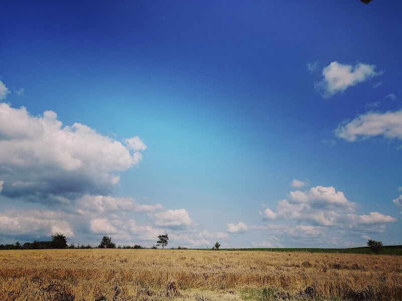 Foto van Wandelclub "Op Stap Zwalm"