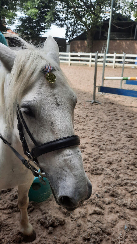 Foto van École d'équitation la cambre