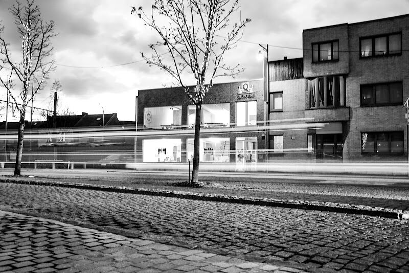 Foto van creosum
