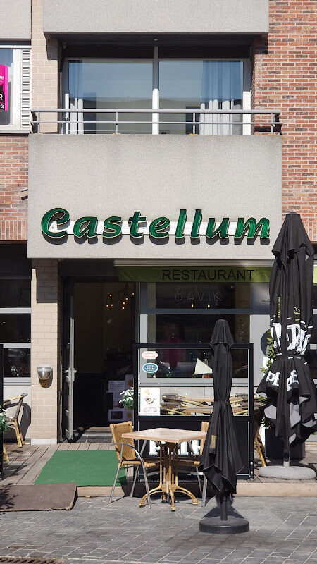 Foto van Castellum