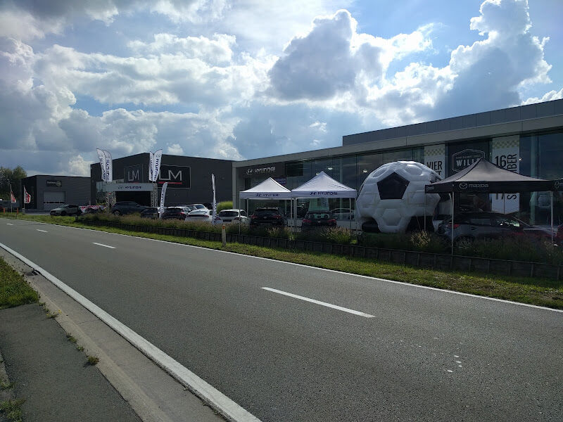 Foto van Garage Wille