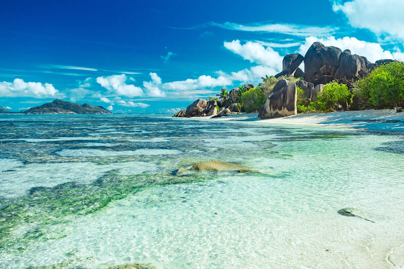 Foto van Sport, Travel & Entertainment